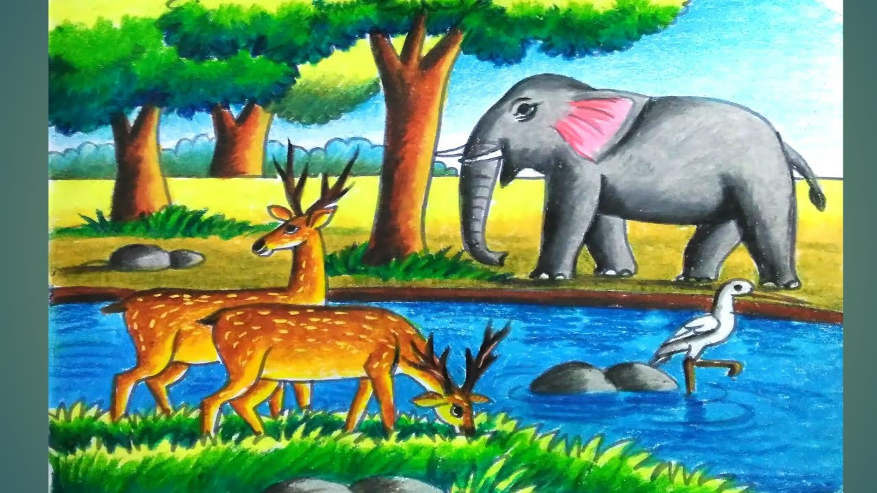 Easy Drawing Of Forest With Animals : Drawing Easy Rainforest Forest ...