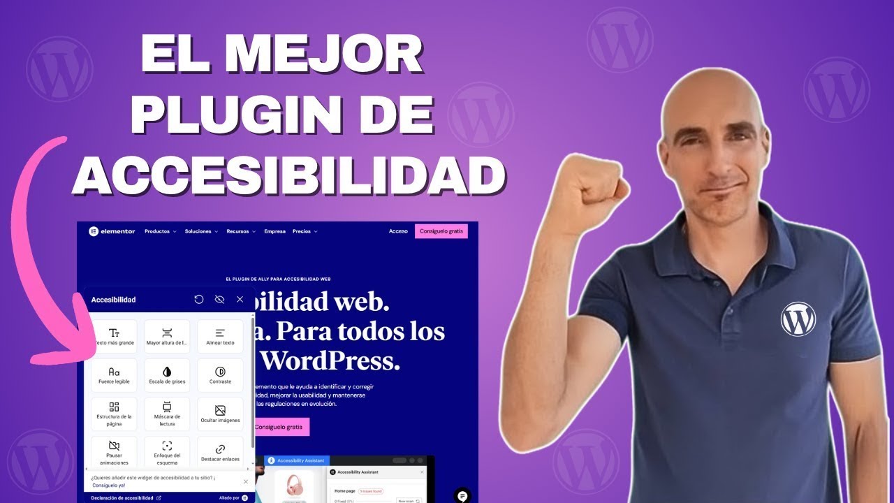 Ally de Elementor - El Mejor Plugin de Accesibilidad Web para WordPress ...