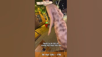 Bé hạt tiêu P76 - Troll. #shorts #douyin  #cobanthan