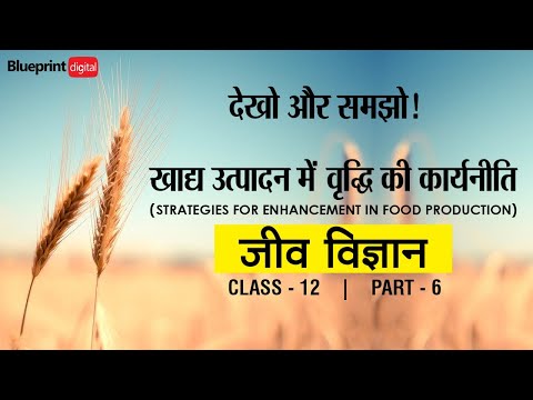 हिंदी माध्यम में खाद्य उत्पादन भाग 6 में वृद्धि के लिए रणनीतियाँ | जीव विज्ञान कक्षा 12 अध्याय 9 |