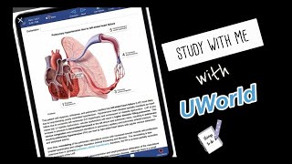 Study with Me| 2nd session with NCLEX Uworld | coffee breaks in between screenshot 1