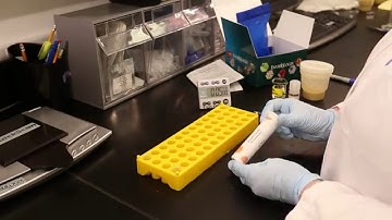 Fumonisin Kit Training Video