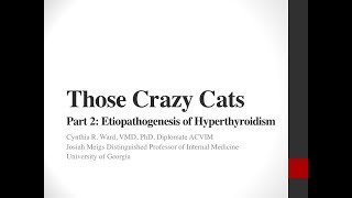 Crazy Cats, Part 2: Feline Hyperthyroidism: Etiopathogenesis