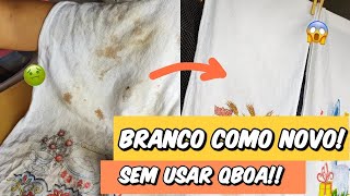 Como Lavar Pano De Prato Encardido E Amarelado Sem Lavar Na Máquina Sem Esfregar Na Mão Sem Qboa