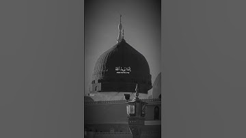 سورة الاحزاب الاية 33 القارئ عمر سيلدينسكي