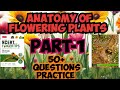 Anatomy of flowering plants mtg fingertips questions practice/ most expected questions/1000+#2026