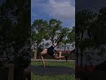 Don’t ever stop #breakdancevideo #bodyweightexercise #entertainment