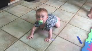 Lily crawling again!