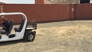 2013 GEM E4 For Sale