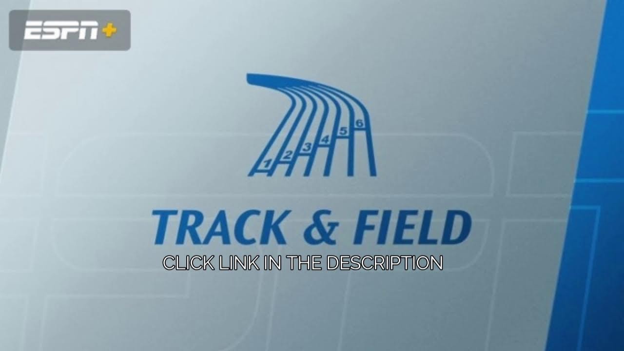 White Oak Polar Bear | Indoor Track & Field Live Stream