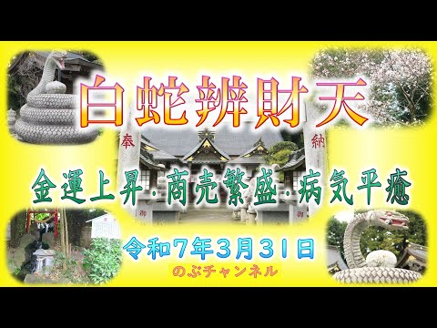 白蛇辨財天 巳年に行きたい神社です　金運上昇・商売繁盛・病気平癒