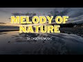 Melody Of Nature - Relaxing Music