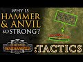 Why HAMMER & ANVIL is the STRONGEST! - Total War Tactics: Warhammer 3
