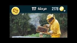 كلمات كراش 117 - كلمة كراش 117 - حل كلمات كراش 117