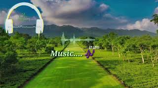 Langwna Thorhingo X Njup Bglry Bodo English Lyric Video