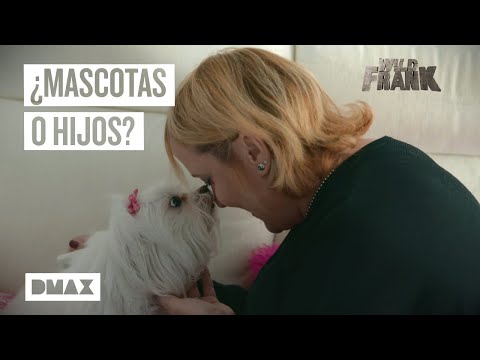 Carencias emocionales y humanización excesiva: así están las mascotas en España | Wild Frank