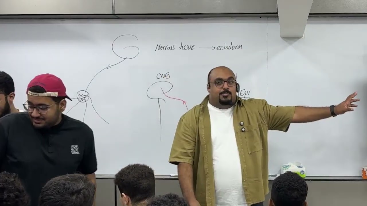 Nervous tissue 1 (2nd year Kasr Alainy) 198 Dr.Zahra