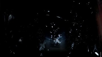 LADY GAGA FAME - A FILM BY STEVEN KLEIN (DIRECTOR