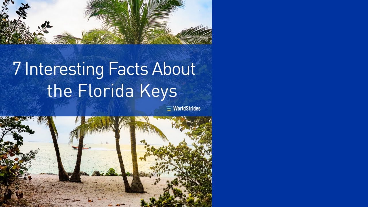 8 Interesting Facts About the Florida Keys