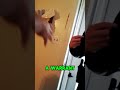 Officer Enters Without Warrant – Family Stands Firm