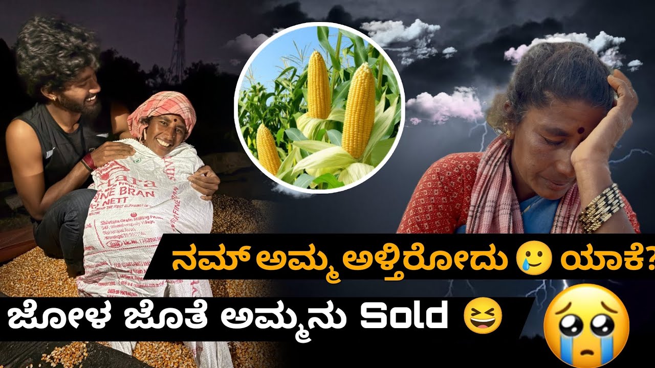 |ಕೊನೆಗೂ ನಮ್ ಜೋಳ ಸೇಲ್ ಆಯ್ತು| ಎಸ್ಟ್ ಲಕ್ಷ ಬಂತು💸 | GV Kannada Vlogs 