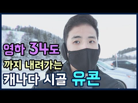 캐나다 시골 유콘의❄극한추위❄주말 일상 브이로그(Vlog)