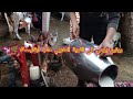 روتين يومي في القرية المغربي حلب أبقار 