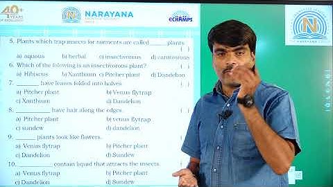 14TH AUG AP & TS CLASS IV SCIENCE REVISION ASSIGNMENT 3 KEY