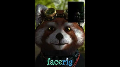 Funy facerig update