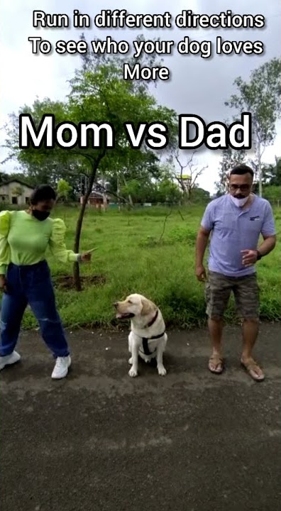 Who Does My Dog Love More?? Mom Vs Dad Challenge || Running in opposite Directions