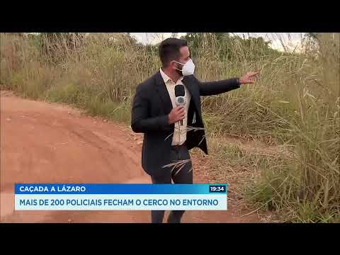 Vídeo: Assista à excitação de 200 cães quando os resgatadores chegam a fechar uma fazenda de carne de cachorro