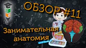 Комплектант