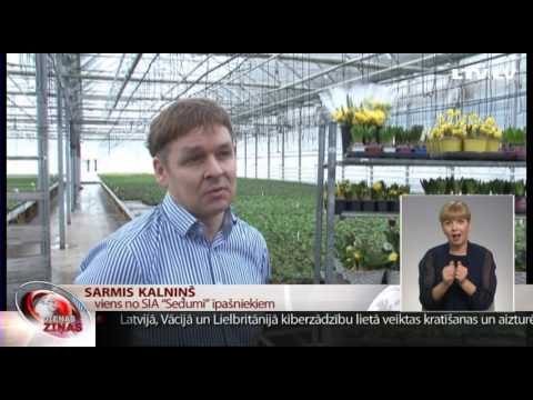 Video: Jamsu pavadošie augi: uzziniet par augiem, kas labi aug kopā ar jamsu