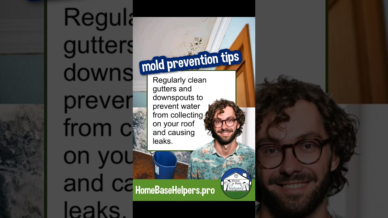 Black mold tips remodeling 