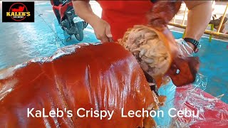 Sunday's Best Lechon | KaLeb's Crispy Lechon Cebu | How To Chop A Whole Lechon