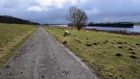 GR5  Nieuw Vossemeer  Halsteren