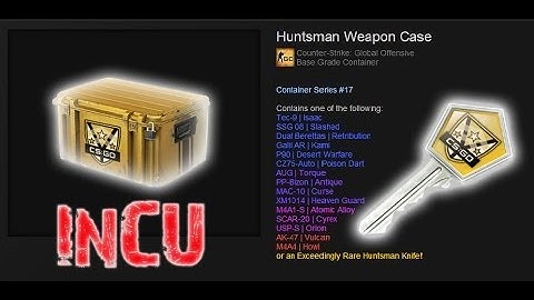CS:GO ! Huntsman Weapon Case OPENING ! New Case !