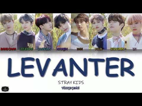 Stray Kids \