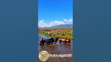 نحن خلقناكم فلولا تصدقون #القرآن_الكريم #تلاوة_خاشعة #تلاوات_العرب #القارئ_عبد_الرحمن_السديس