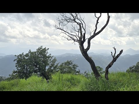 Malayalam Songs