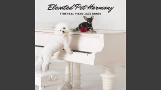 Elevated Pet Oasis: Piano Jazz's Harmonic Serenades