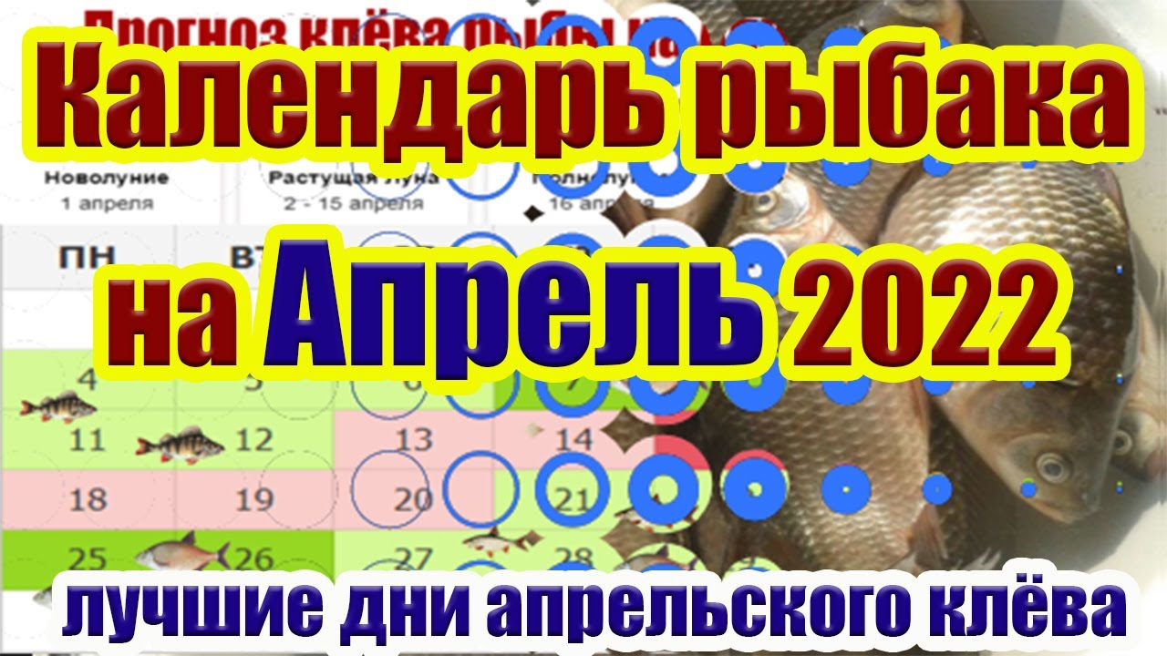 Календарь рыбака на Апрель Прогноз клева рыбы на Апрель Календарь клева  Апрель 2022 - YouTube
