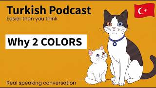 Cats With Different Eyes? 🐱The Secret of the Turkish Van | Easy Turkish Podcast screenshot 5