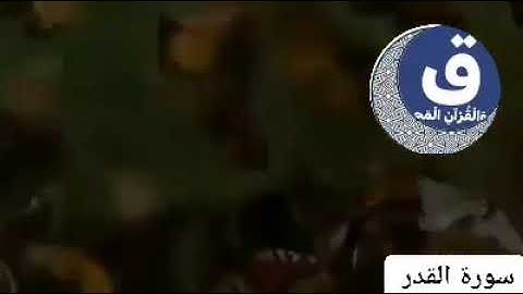 سورة القدر مكررة بصوت اكرم العقابي