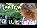 Bye Bye TURKEYS Selah Had To Say GOODBYE Bye Bye TURKEYS Selah Had To Say GOODBYE
