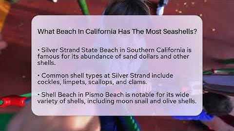 What Beach In California Has The Most Seashells? - Beach Tour Guide