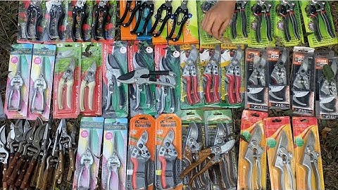 GIẢM GIÁ ĐÓN XUÂN 2023. CÁC MẪU KÉO CẮT TỈA CÀNH CÂY CẢNH 0582132888