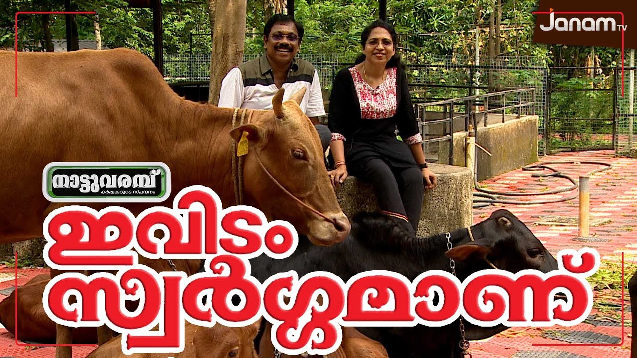 ഇവിടം സ്വർഗ്ഗമാണ്‌ | ADVOCATE COUPLE | INTEGRATED FARMING | NATTUVARAMBU | JANAM TV