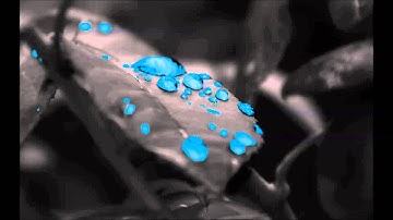 Apocalyptica- Not Strong Enough- Ft. Brent Smith AND Doug Robb