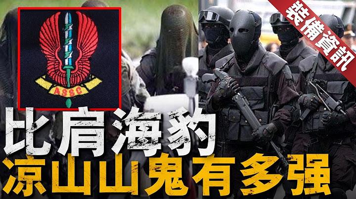 台灣涼山特勤隊有多強？海陸空作戰的全能選手，比肩美國海豹突擊隊。【裝備資訊】#涼山山鬼 #特種部隊 #台灣